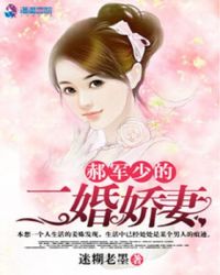 郝军少的二婚娇妻封面