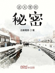 这大雪的秘密封面