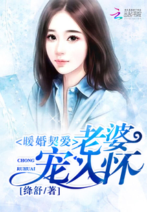 暖婚契爱：老婆，宠入怀封面
