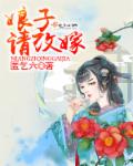 娘子，请改嫁！封面