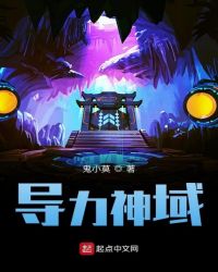 导力神域封面