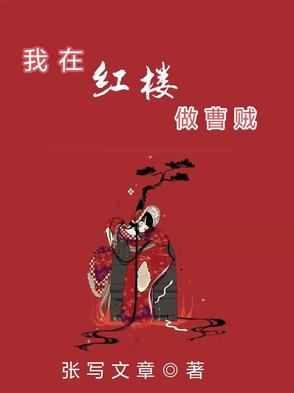 我在红楼做曹贼封面