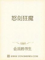 怒剑狂魔封面