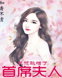 首席夫人又想跳槽了封面