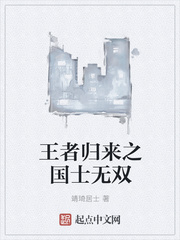 王者归来之国士无双封面