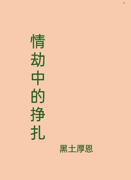 情劫中的挣扎封面