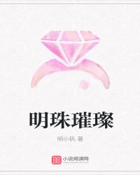 明珠璀璨封面