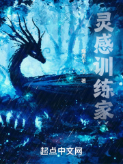 精灵：灵感训练家封面