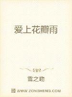 爱上花瓣雨封面