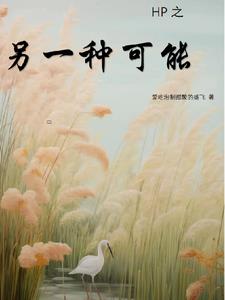 HP之另一种可能封面