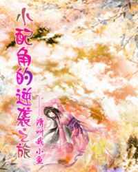 小配角的逆袭之旅封面