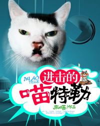 进击的喵特勒封面