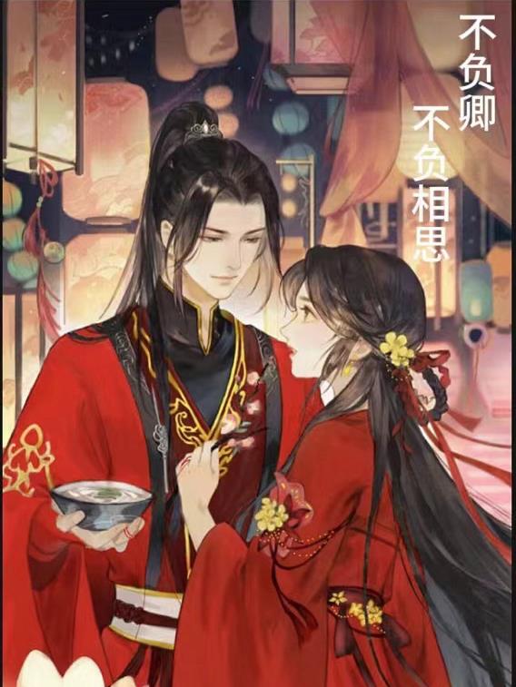 不负卿不负相思封面