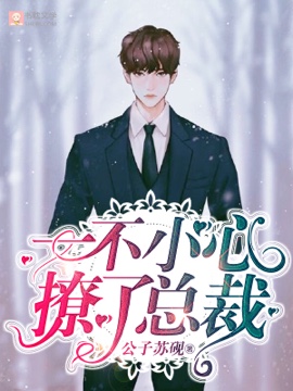 一不小心撩了总裁封面