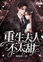 重生夫人不太甜封面