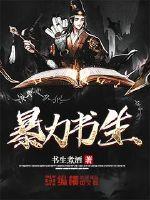 暴力书生封面