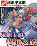 鬼剑士的异界之旅封面