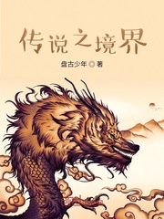 传说之境界封面