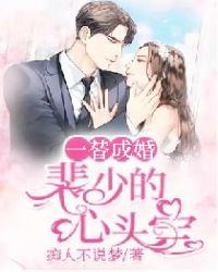 一替成婚:裴少的心头宝封面