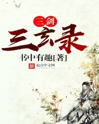 三剑三玄录封面