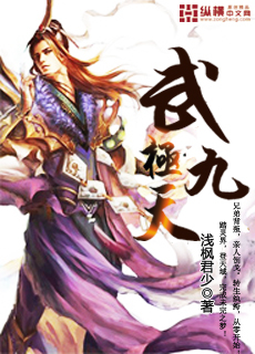 武极九天封面