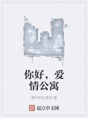 你好，爱情公寓封面
