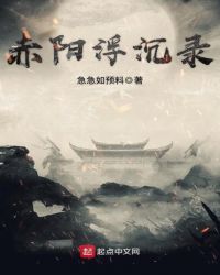 赤阳浮沉录封面