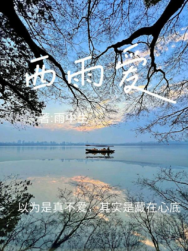 西雨爱封面