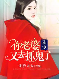 陆少,你老婆又去抓鬼了封面