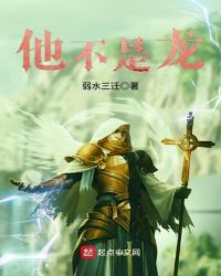 他不是龙封面