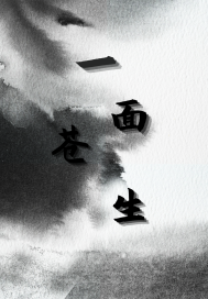 一面苍生封面