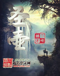 圣壶封面