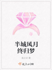 半城风月终归梦封面