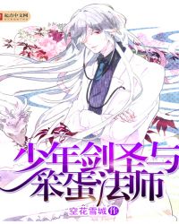 少年剑圣与笨蛋法师封面