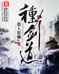 种剑道封面
