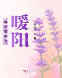 掬进眼里的暖阳封面