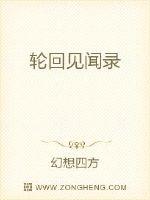 轮回见闻录封面