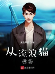 从流浪猫开始封面