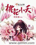 桃花小夭封面