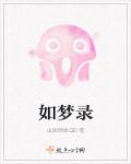 如梦录封面