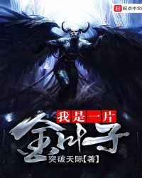 我是一片金叶子封面