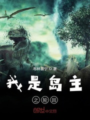 我是岛主之轮回封面