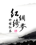 红绸绮梦封面