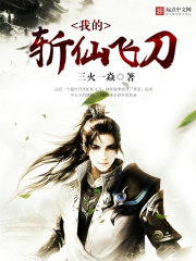 我的斩仙飞刀封面