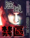 脑域禁区封面