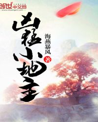 凶猛小地主封面