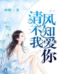 清风不知我爱你封面