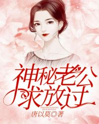 神秘老公求放过封面