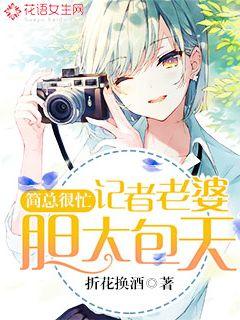 简总很忙：记者老婆胆大包天封面