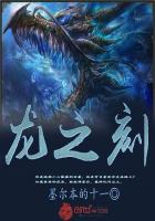 龙之刻封面